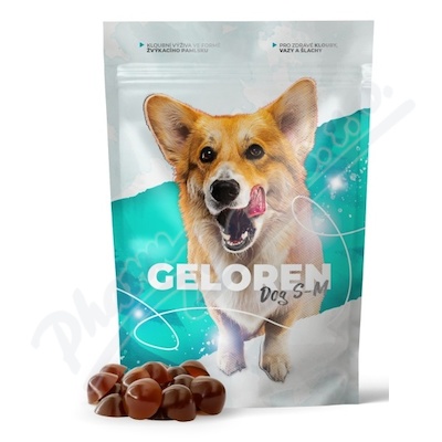 Geloren dog S-M kloubní výživa 60ks želé